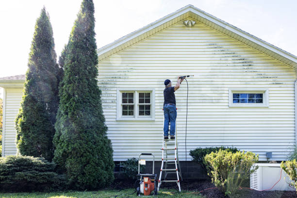 Professional Pressure Washing Services in Ransomville, NY
